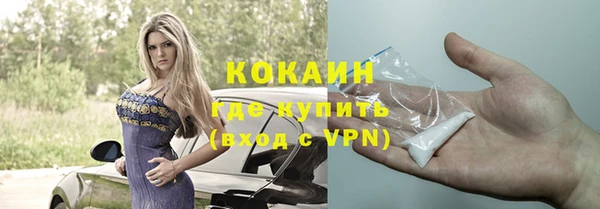 кокс Богородицк