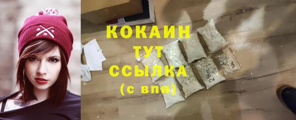 винт Богданович