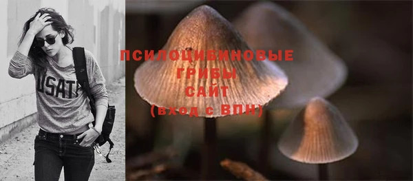 винт Богданович