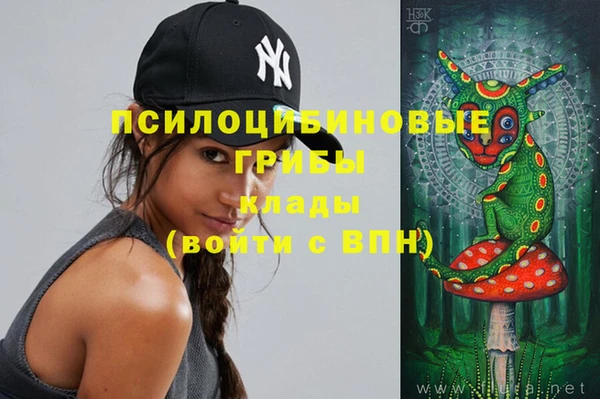 винт Богданович