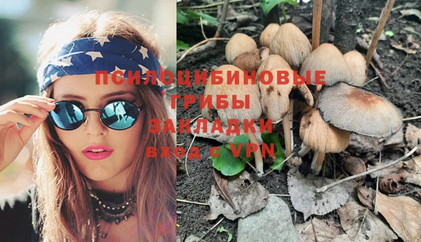 кокс Богородицк