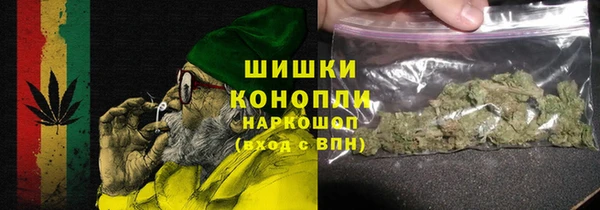 винт Богданович