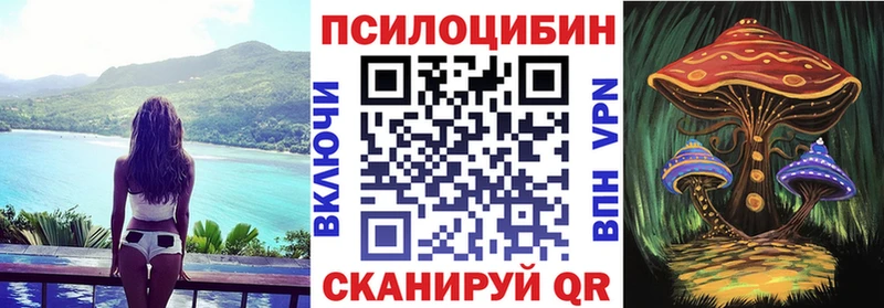 Псилоцибиновые грибы мухоморы  Махачкала 